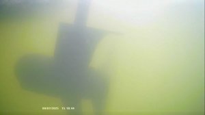 Работа лодочного электромотор Haswing Protruar 1.0 с акп