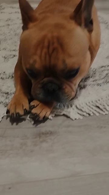 Луи про деньги