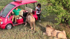 Кровь, захват за шею!Татьяна Алексагина могла испугаться!Она не думала о себе!Олег Зубков дал оценку