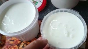 ацидофилин бифидобактерин биолакт закваски для молока заквашивать просто, и полезно для жкт здоровья