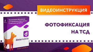 DataMobile. Фотофиксация на ТСД