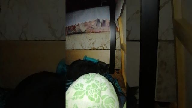 С. А. Б. 0 0 1 з 1