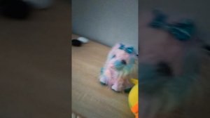 Маша и медведь спрунки серия 3 1 2 3 Ёжка гори