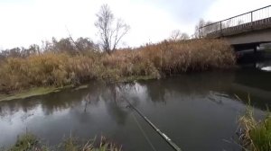 Рыбалка на спиннинг