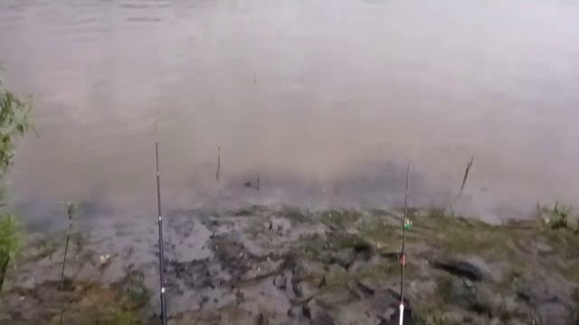 Рыбалка на Оби.Оснастка, донка, поплавочная удочка. Клюёт, Лещ, Карась, Подъязок, Плотва. смотреть онлайн