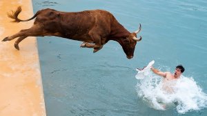 Погони Диких Животных_ Снятые на Камеру(1080P_HD)