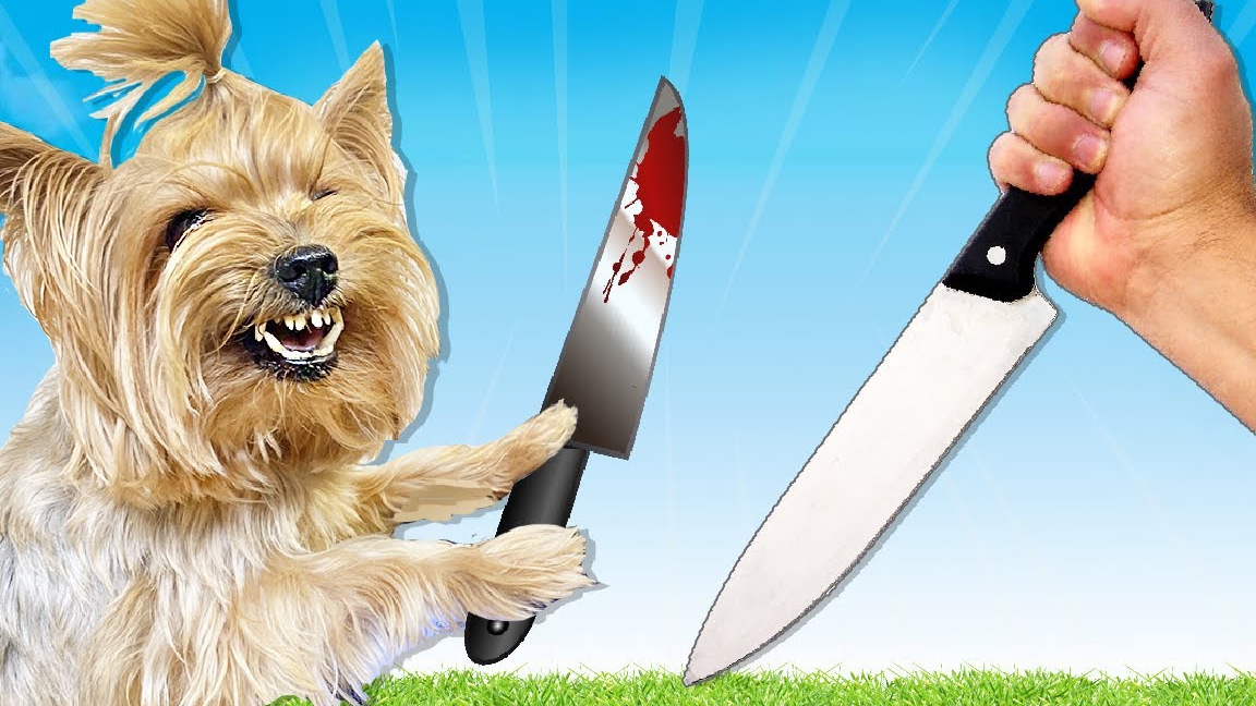 КОРОЧЕ ГОВОРЯ, ЗЛОЙ ПЁС стал ДОБРЫМ !