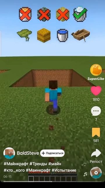 The Minecraft Song