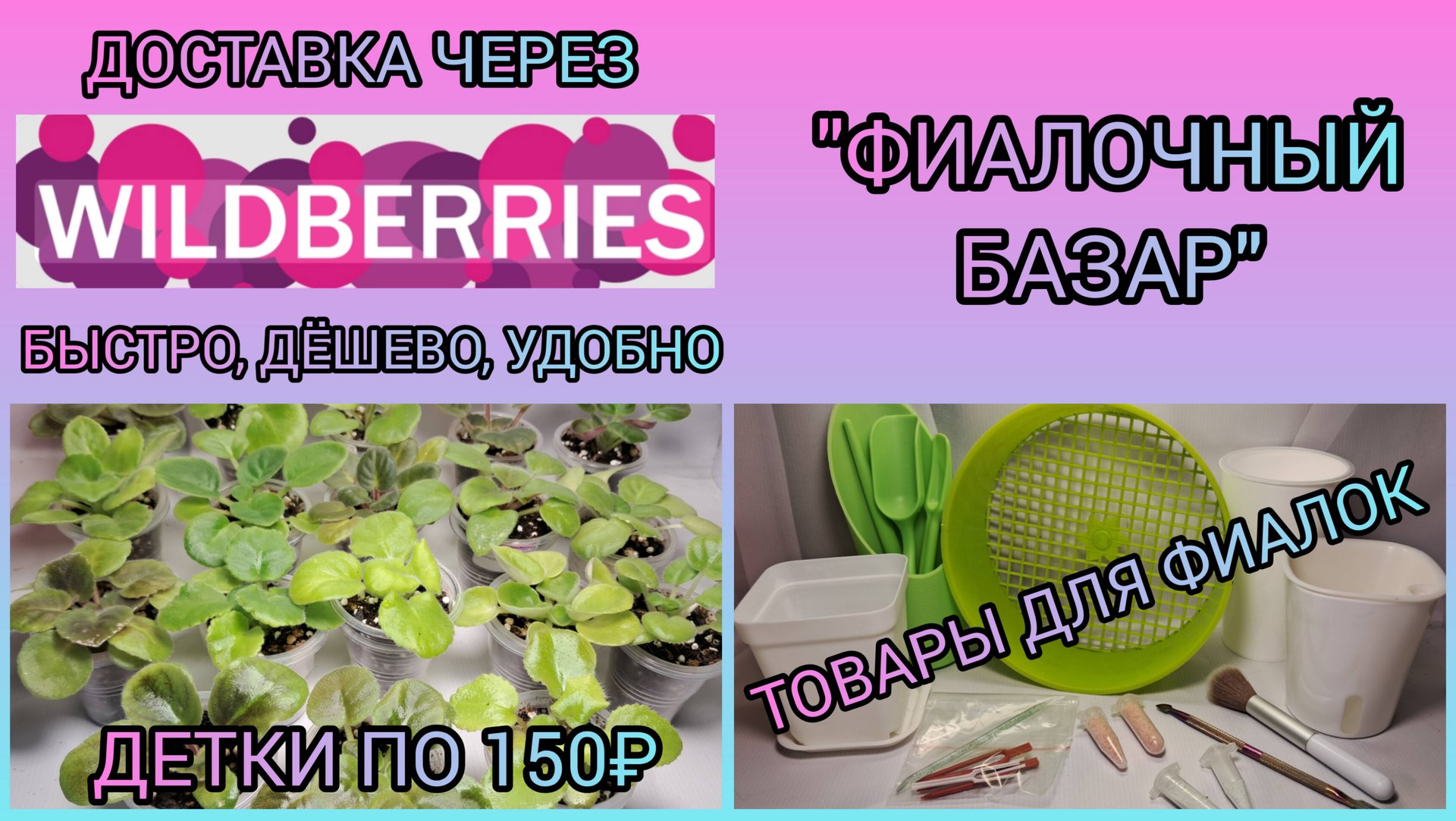 "ФИАЛОЧНЫЙ БАЗАР" - продажа фиалок. Товары для фиалок. смотреть онлайн