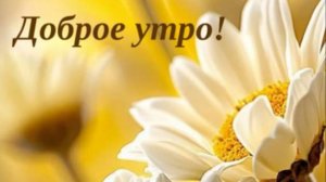 Пожелания с добрым утром открытки бесплатно красивые ☕ НОВИНКА