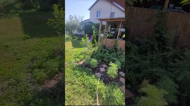 купила садовые качели смотреть онлайн