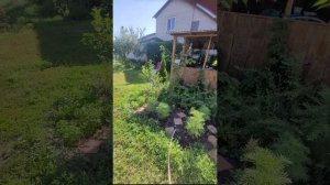 купила садовые качели