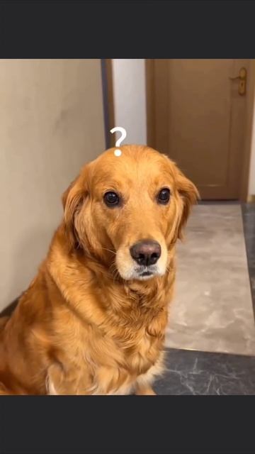 Пойман с поличным смотреть онлайн