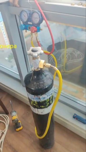 Не работа - мечта!