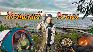Рыбалка на Ивинских разливах 2025