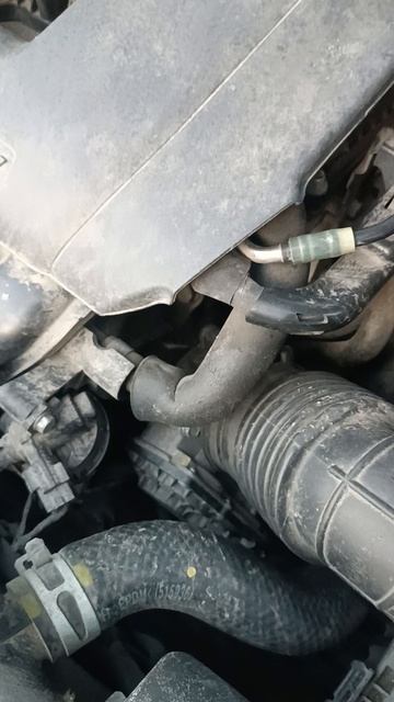 Скрипы подвески