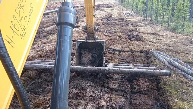 Прогулка по болоту на сланях. смотреть онлайн