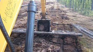 Прогулка по болоту на сланях.