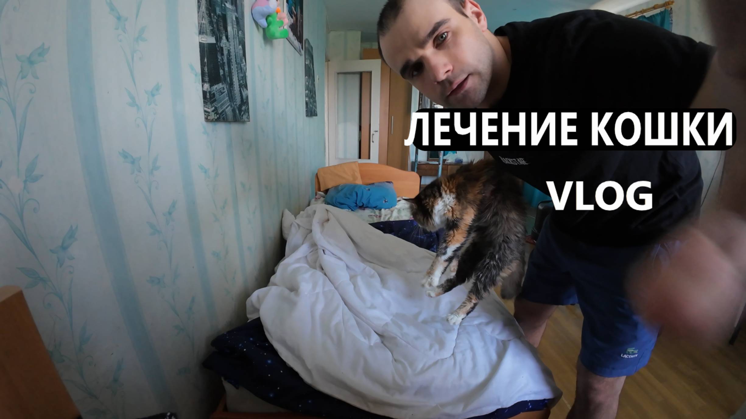ЛЕЧЕНИЕ КОШКИ / МЯУРИЦЦИО / VLOG / 10. 07. 2025 смотреть онлайн
