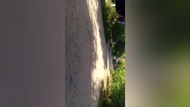 вайб лета смотреть онлайн