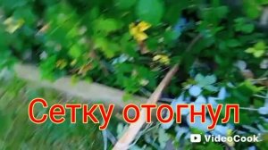 Бобры прорвали нашу оборону