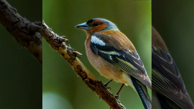 Это интересно-26