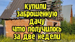 Купили заброшенную дачу.
