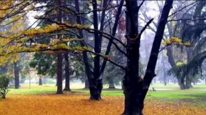 Наша Дарья - Осень (песня Николая Емелина)