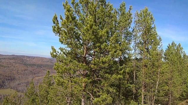 Забайкалье Павловская сопка смотреть онлайн