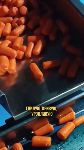 Вы ТОЧНО этого не знали ✅ отправь этот ролик своим близким и подписывайся смотреть онлайн