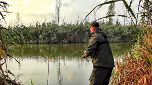 ДА КТО В ЭТОЙ ЯМЕ!!!_ ПРОВЕРИЛ ЕЩЕ ОДНУ, НЕ ОЖИДАЛ ТАКОГО КЛЕВА!!! Рыбалка на донки осенью.