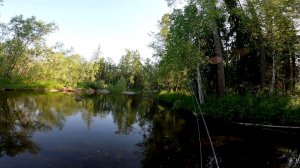 Рыбалка-мечта. Река Северная и её притоки. Часть вторая.