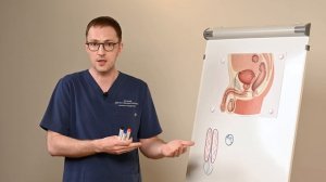 Почему не встает? Разбираем реальные способы вернуть твердость