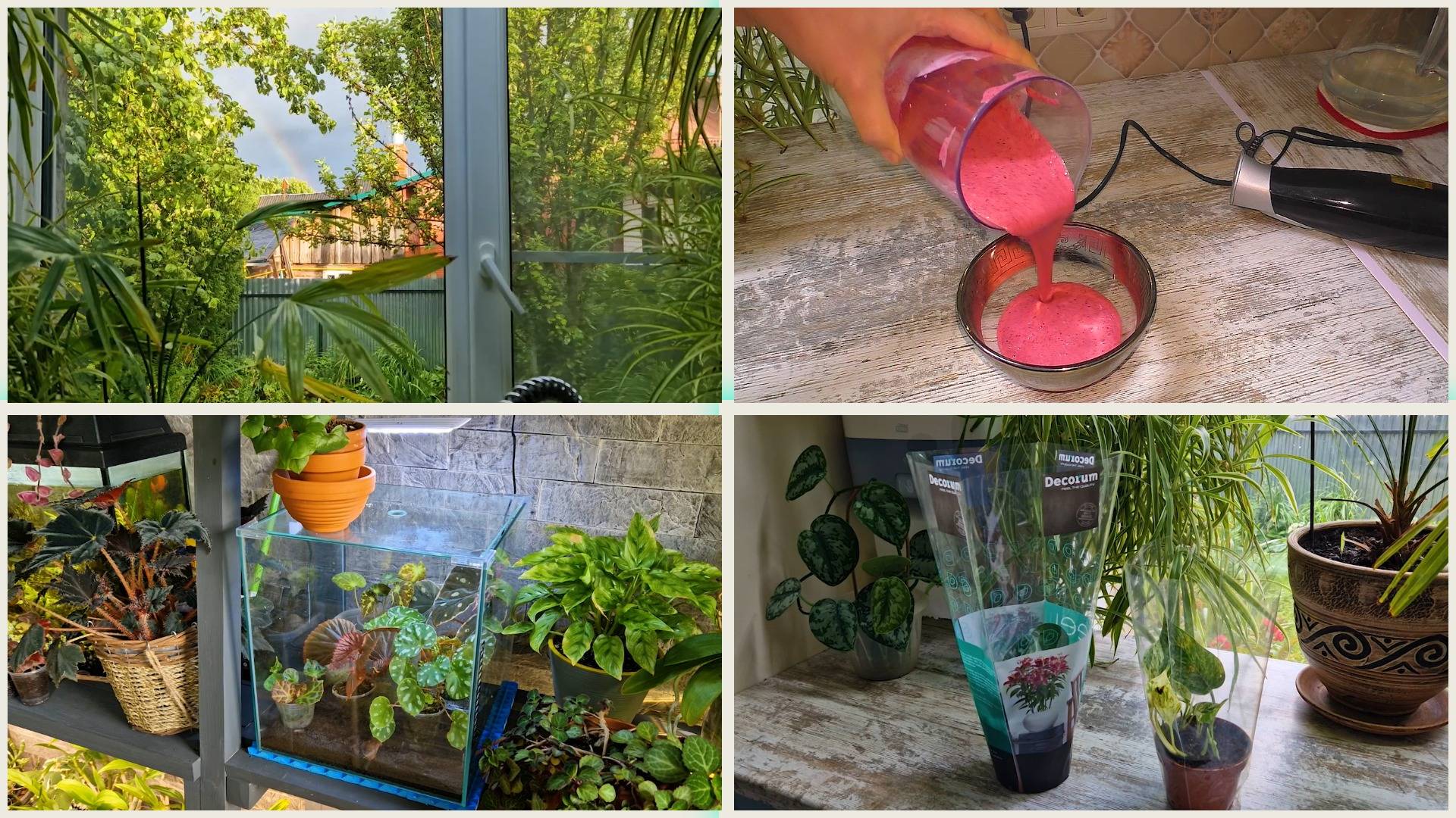 Не устаю готовить это ягодное лакомство🍓! Цены на цветы ШОКИРУЮТ. Из ОРАНЖЕРЕИ невозможно уйти 🥰 смотреть онлайн