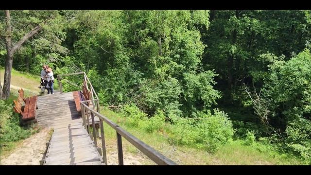 № 041 смотреть онлайн