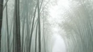 Вальс дождя