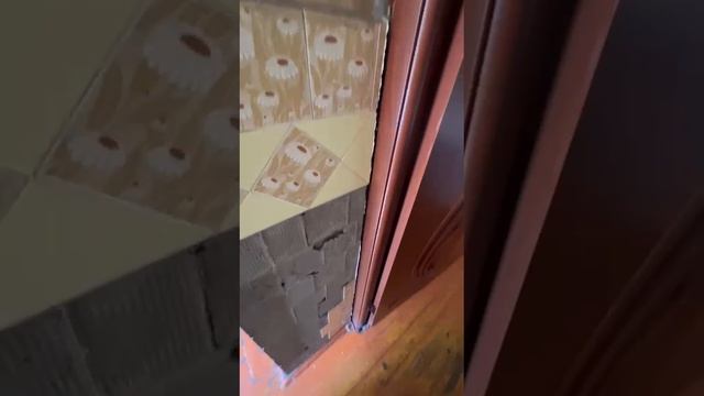 Безопасная зона — Дезинсекция