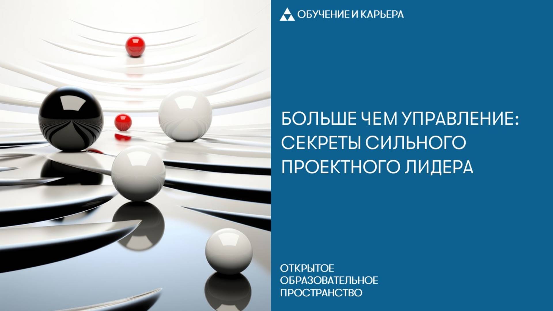 Больше чем управление: секреты сильного проектного лидера смотреть онлайн