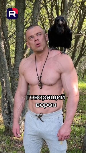 Говорящий ВОРОН