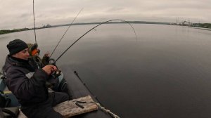 КОЛЬСКИЙ ЗАЛИВ. ГОРБУША и ТРЕСКА. ИЮЛЬ 2025