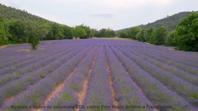 Эта музыка заставит вас пересмотреть свою жизнь! - Carefree Morning -- Scott Holmes Music -- Inspiri