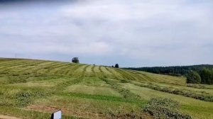 Мопеды сериал | Серия 484