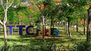 Завтрак в отеле TTC Van Phong Bay Resort 5*. Вьетнам. Нячанг. Doc let