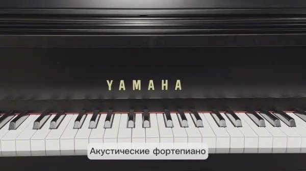 Клавишные инструменты Ц7