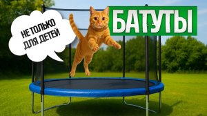 ТОП-5: Лучшие БАТУТЫ до 30 000 рублей (2025) || Рейтинг батутов || Как выбрать батут