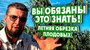 ВЫ ОБЯЗАНЫ ЭТО ЗНАТЬ! Летняя обрезка плодовых
