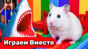 АКУЛИЙ ЛАБИРИНТ СЛОВУШКАМИ для умного Хомяка 🐹 Проходим вместе ! Видео для детей