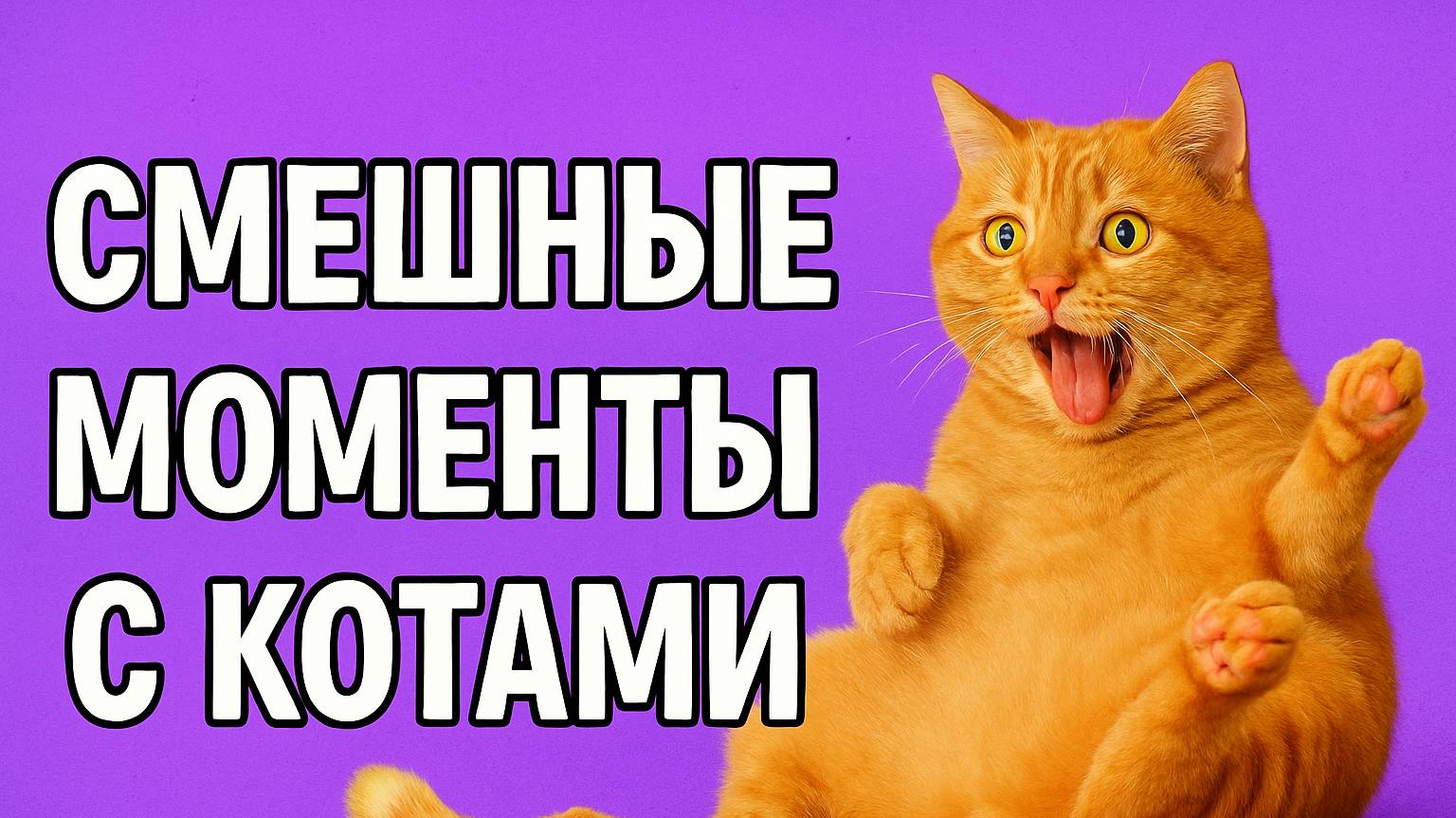 Смех до слёз: лучшие приколы №167 смотреть онлайн