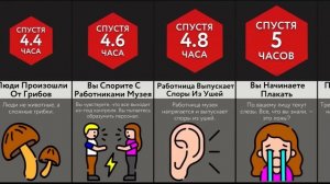 Вы В Параллельной Вселенной