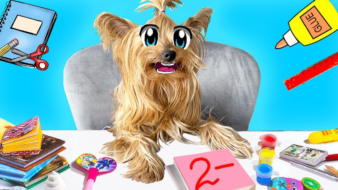 КОРОЧЕ ГОВОРЯ, ЗЛОЙ ПЁС ВЕРНУЛСЯ В ШКОЛУ НА 1 ДЕНЬ ! →